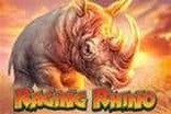 ragingrhino